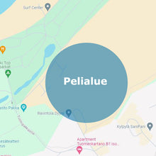 Load image into Gallery viewer, Kapteeni Koukun Aarre - SaniFani